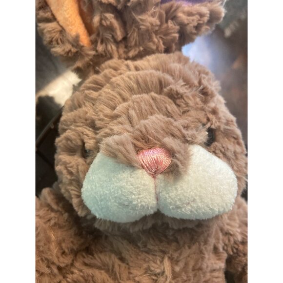 Adorable Plush Bunny Stuffed Animal With Colorful Ears & Tail Soft And Cuddly - Picture 2 of 8